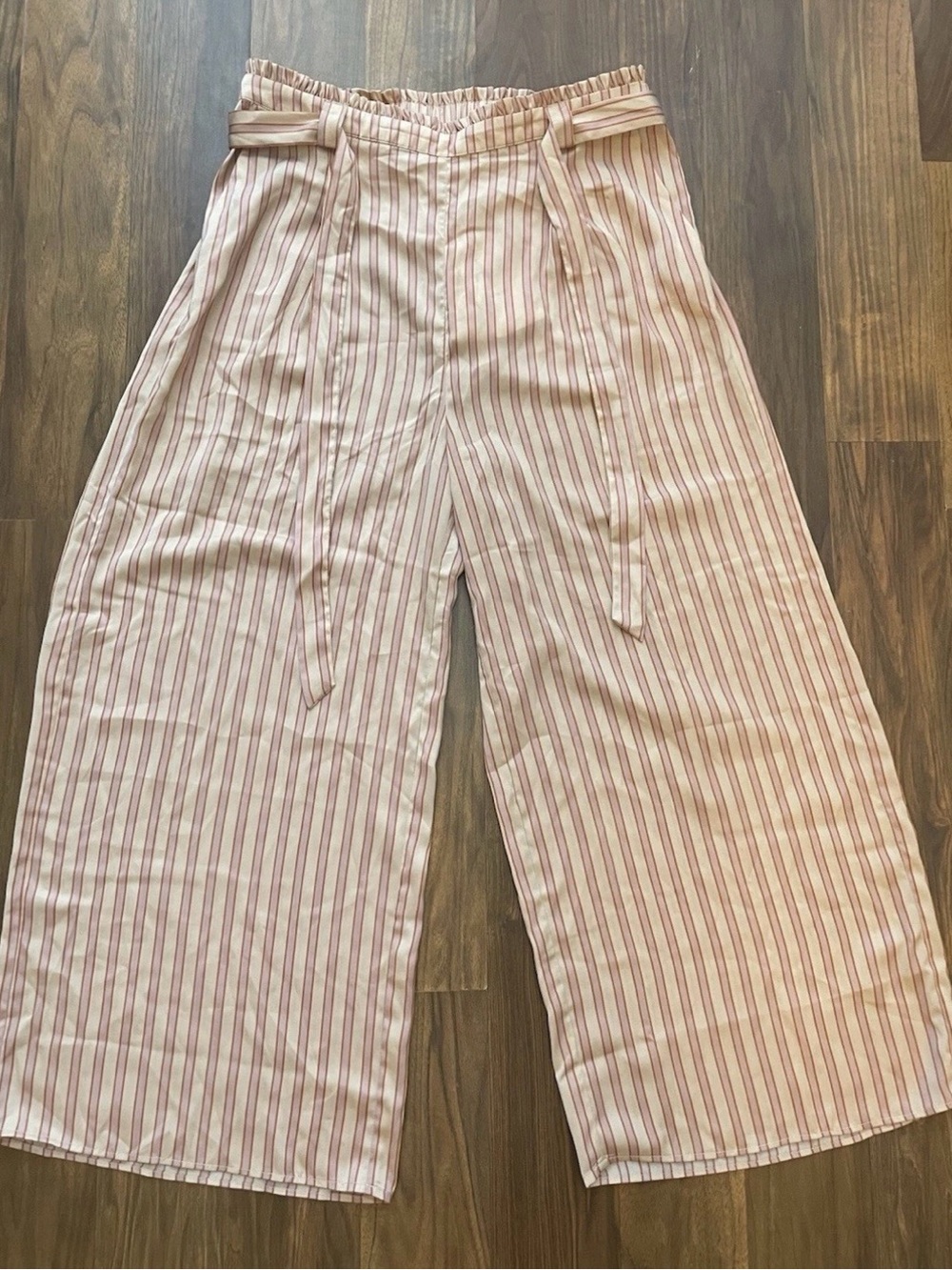 Saltwater Luxe Anthropologie Pants Size Large Taupe Pink Striped Polyester NWT